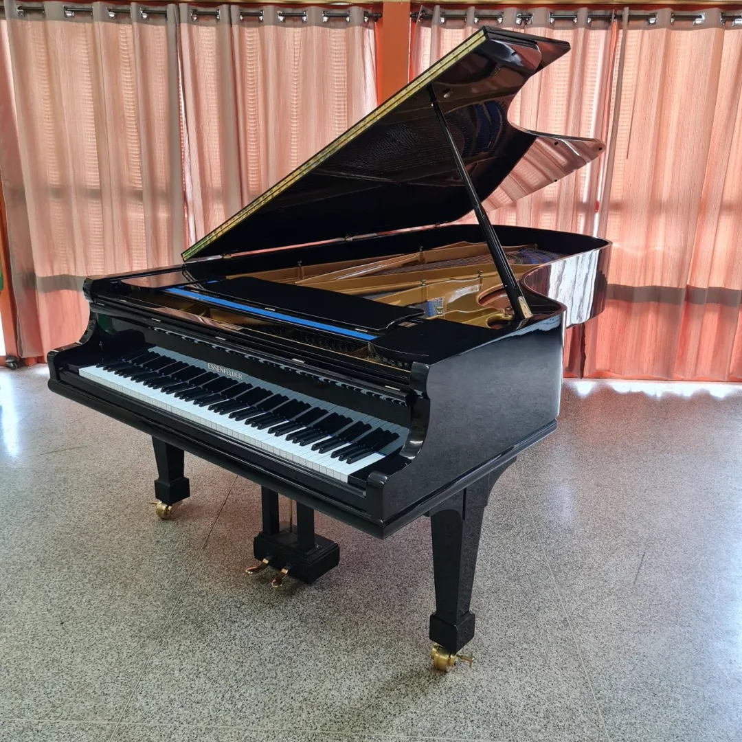 Essenfelder Concerto · cauda inteira 4/4 preto